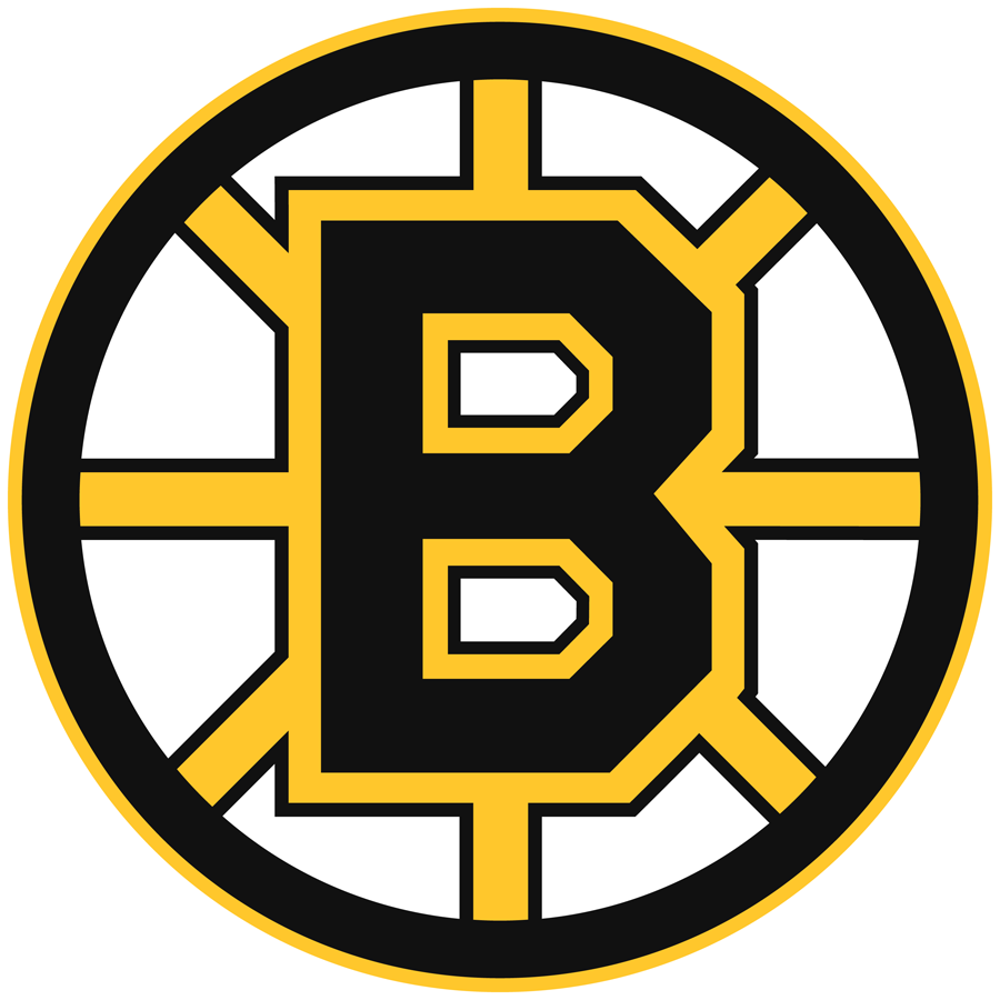 Boston Bruins 1995-2007 Primary Logo t shirts iron on transfers